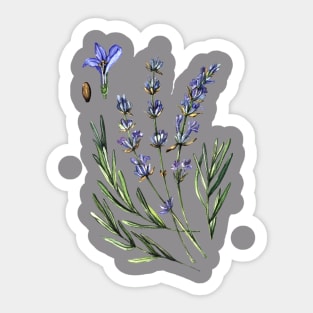 Lavander Sticker